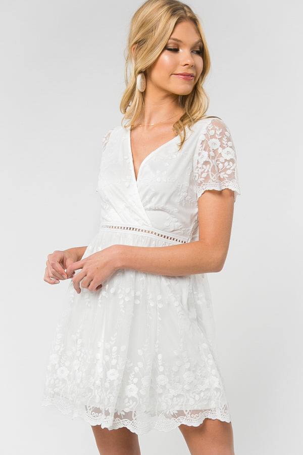 Dress - Short Sleeve V-Neck Lace Fit n Flare