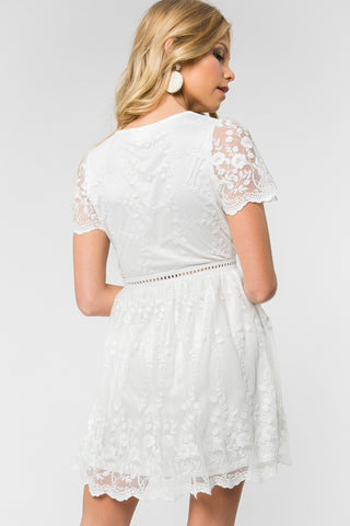Dress - Short Sleeve V-Neck Lace Fit n Flare